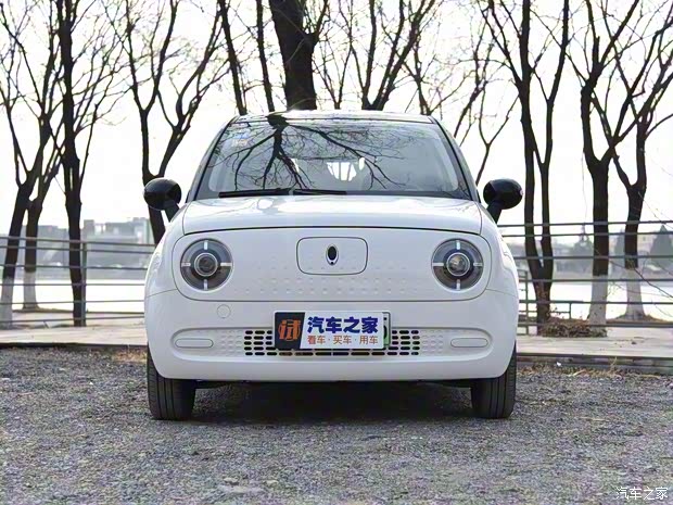 長城汽車 歐拉R1 2019款 351km 靈趣版