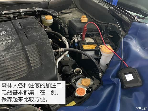 斯巴鲁 森林人 2019款 2.0i 智擎旗舰版EyeSight