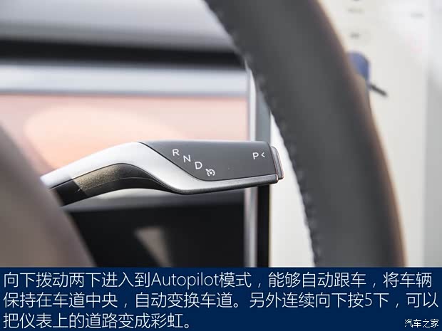 特斯拉中国 Model 3 2019款 标准续航后驱升级版