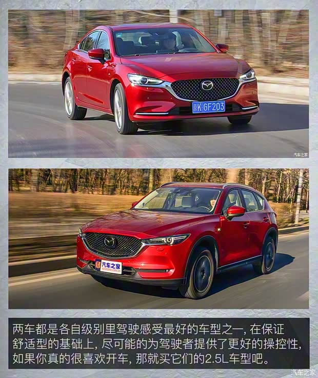 一汽-大眾 邁騰 2020款 330TSI DSG 尊貴型