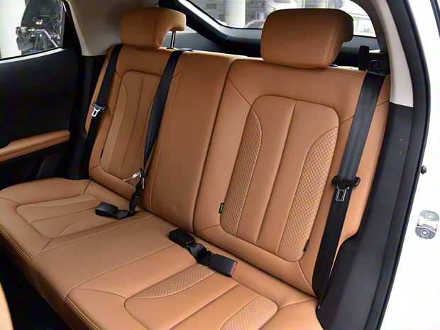 长城汽车 欧拉iQ 2018款 基本型