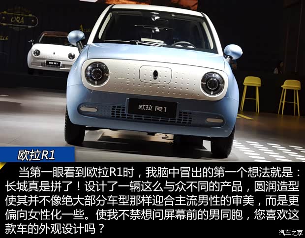 長城汽車 歐拉R1 2019款 351km 靈睿版