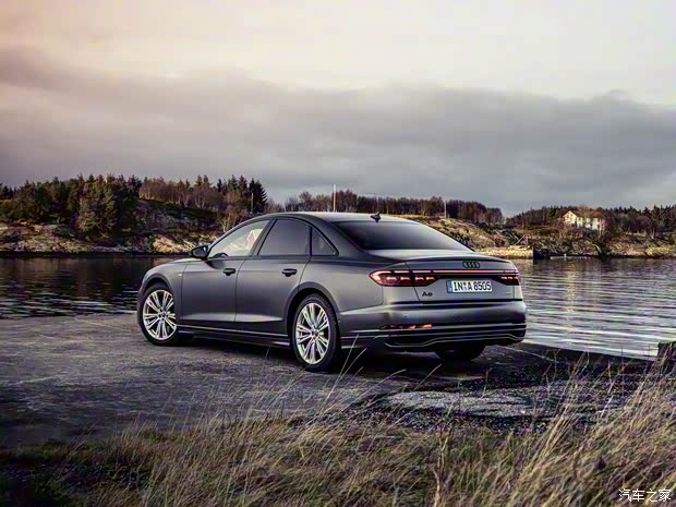 奥迪(进口) 奥迪A8 2023款 A8 S-line 欧洲版
