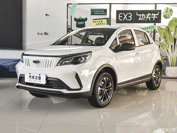 几何汽车 EX3 功夫牛 2021款 坚强牛牛 几何汽车 EX3 功夫牛 2021款 坚强牛牛