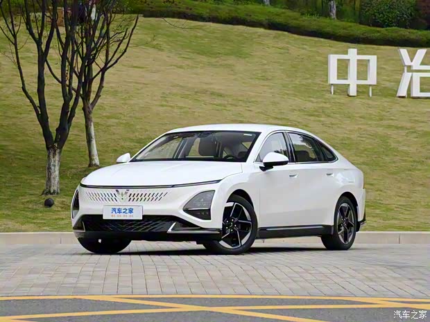 上汽通用五菱 五菱星光 2023款 150 进阶版 上汽通用五菱 五菱星光 2023款 150 进阶版