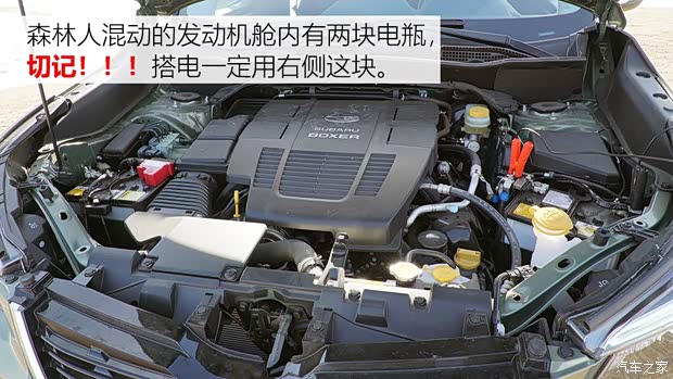 斯巴鲁 森林人 2019款 2.0i 智擎旗舰版EyeSight