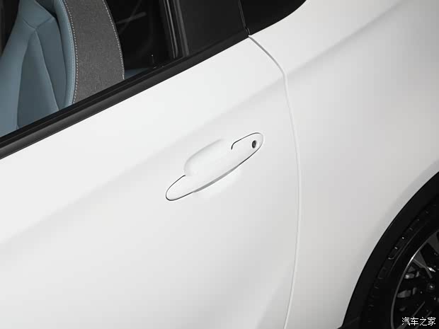 奇瑞新能源 小蚂蚁 2022款 甜粉款 全糖版 磷酸铁锂 30kW 301km