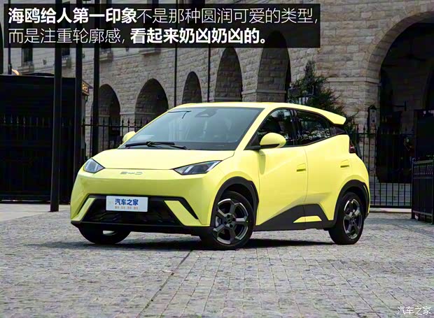 比亞迪 海鷗 2023款 飛翔版