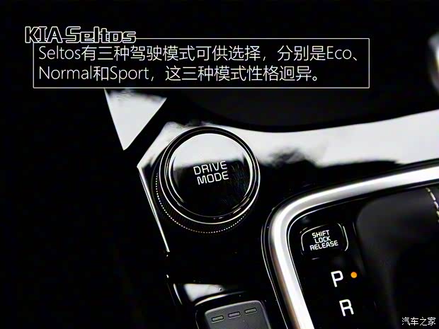 起亚(进口) Seltos 2020款 基本型 起亚(进口) Seltos 2020款 基本型