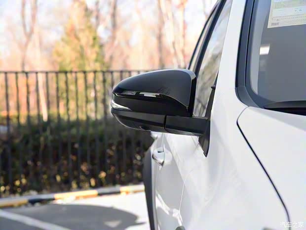 一汽丰田 RAV4荣放 2019款 2.0L CVT两驱风尚X限量版 国V