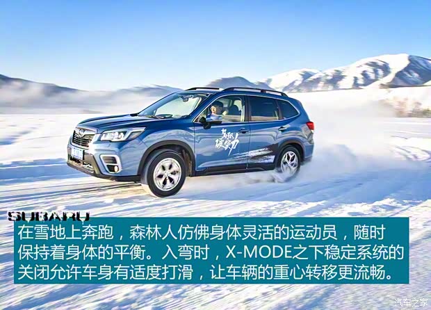 斯巴鲁 森林人 2019款 2.0i 智擎旗舰版EyeSight 斯巴鲁 森林人 2019款 2.0i 智擎旗舰版EyeSight