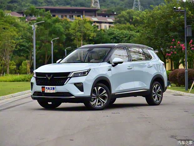 上汽通用五菱 五菱星辰 2022款 2.0L DHT電速款