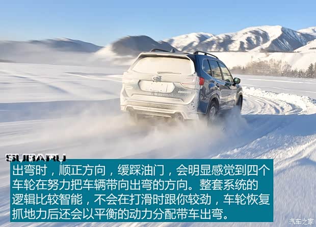 斯巴鲁 森林人 2019款 2.0i 智擎旗舰版EyeSight 斯巴鲁 森林人 2019款 2.0i 智擎旗舰版EyeSight