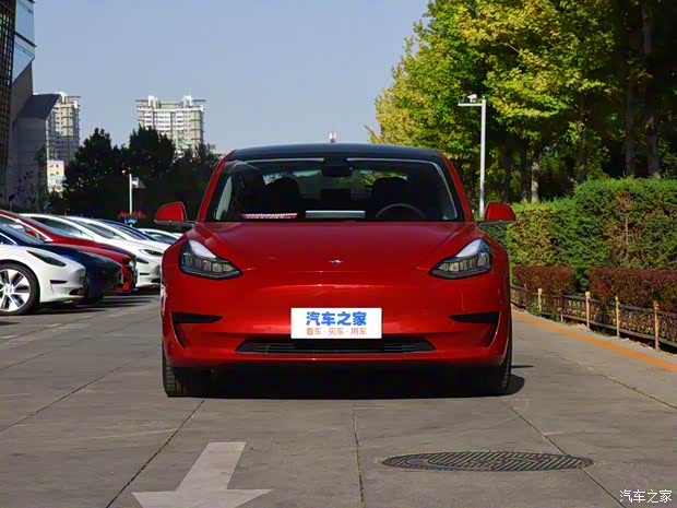 特斯拉中國 Model 3 2019款 標準續(xù)航后驅升級版