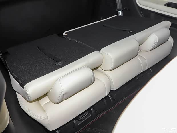 廣汽乘用車 傳祺M8新能源 2024款 2.0TM 插電混動(dòng)基本型