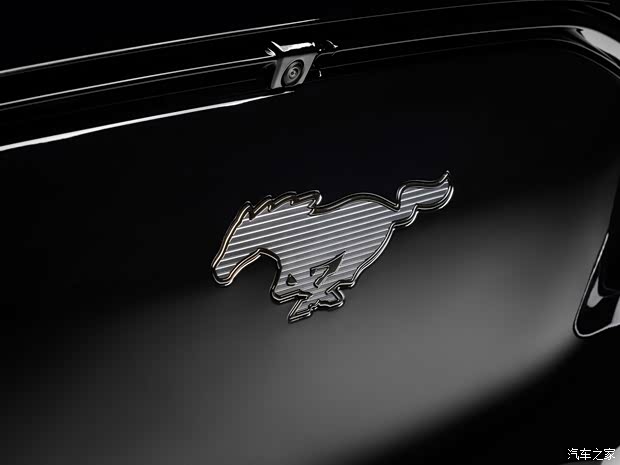 福特(進(jìn)口) 福特電馬(海外) 2023款 Premium Nite Pony