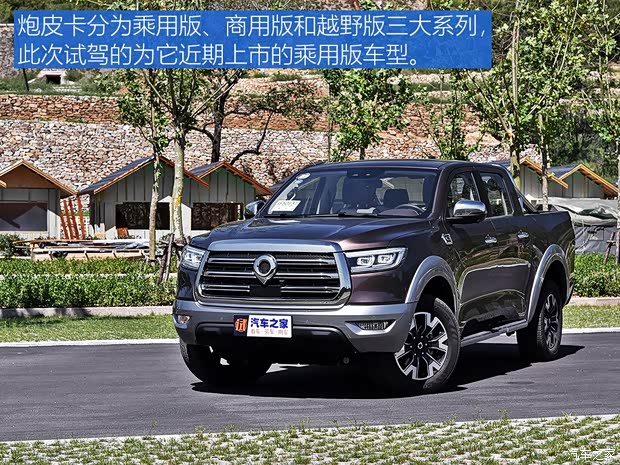 长城汽车 炮 2019款 2.0T四驱尊享版小双GW4C20B