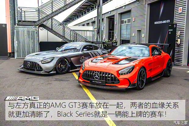 梅賽德斯-AMG AMG GT 2020款 AMG GT Black Series