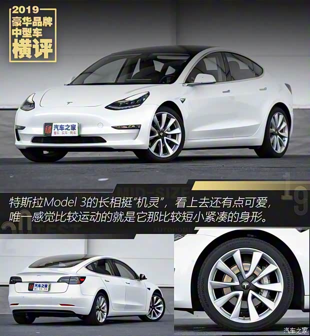 特斯拉（進(jìn)口） Model 3(進(jìn)口) 2019款 長(zhǎng)續(xù)航后驅(qū)版