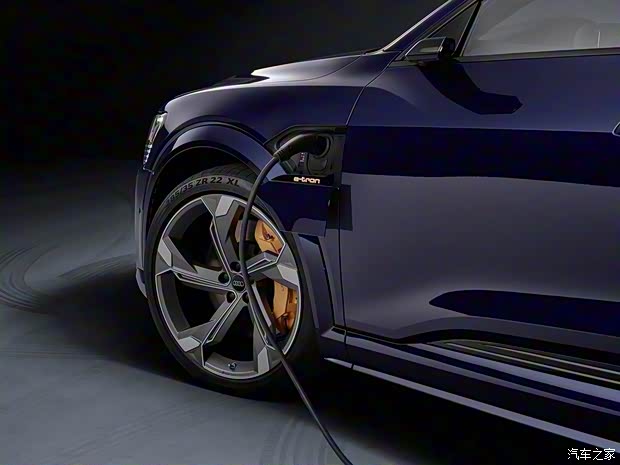 奥迪(进口) 奥迪e-tron(进口) 2021款 S