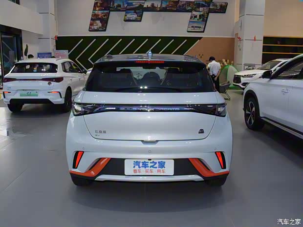 比亚迪 海豚 2021款 高配版