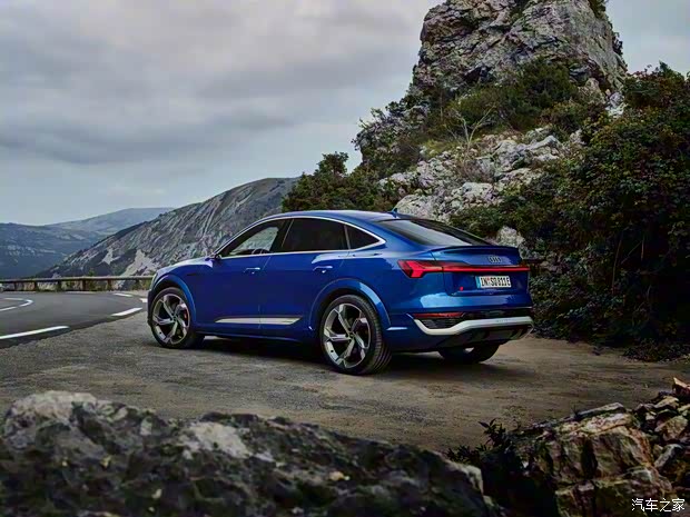 奧迪(進(jìn)口) 奧迪SQ8 e-tron Sportback 2023款 基本型