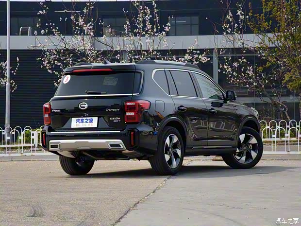 廣汽乘用車 傳祺GS8 2020款 GS8S 390T 兩驅豪華智聯(lián)版
