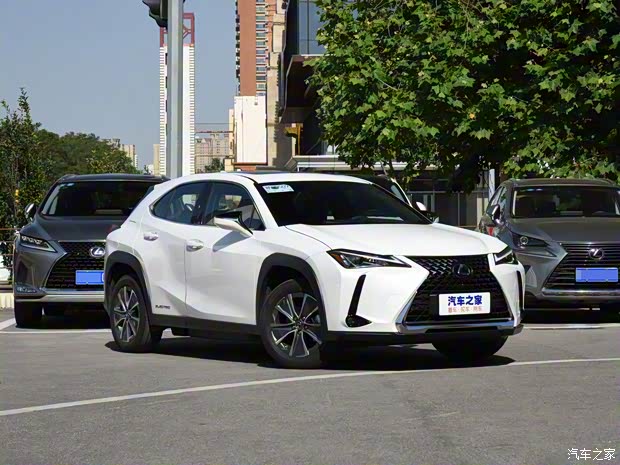 雷克萨斯 雷克萨斯UX新能源 2020款 300e 纯·享版 雷克萨斯 雷克萨斯UX新能源 2020款 300e 纯·享版