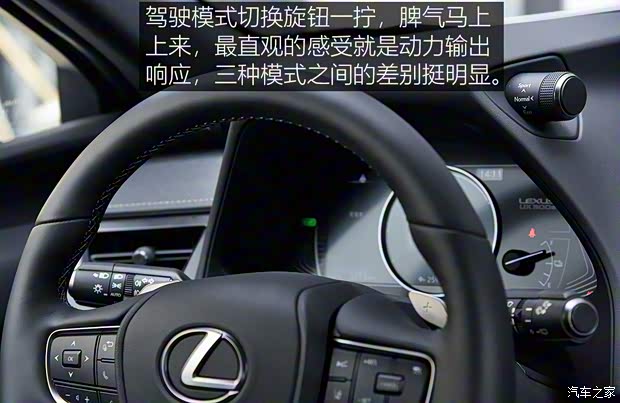 雷克萨斯 雷克萨斯UX新能源 2020款 300e 纯·享版 雷克萨斯 雷克萨斯UX新能源 2020款 300e 纯·享版
