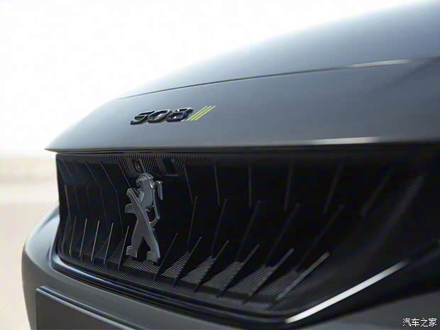 標(biāo)致(進(jìn)口) 標(biāo)致508新能源(進(jìn)口) 2019款 Sport Engineered Concept