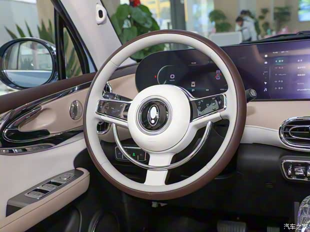 长城汽车 欧拉芭蕾猫 2022款 原型车