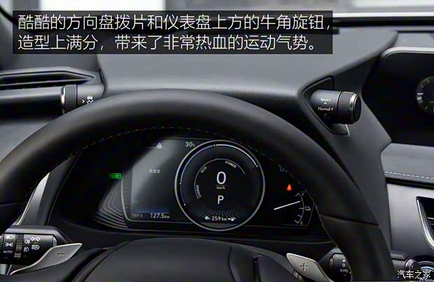 雷克萨斯 雷克萨斯UX新能源 2020款 300e 纯·享版 雷克萨斯 雷克萨斯UX新能源 2020款 300e 纯·享版