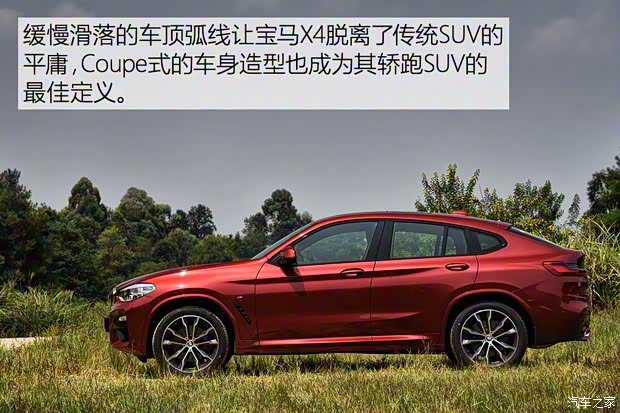 宝马(进口) 宝马X4 2019款 30i