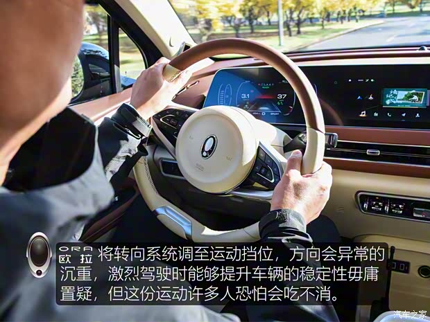 長城汽車 歐拉好貓 2021款 500km長續(xù)航 波塞冬版