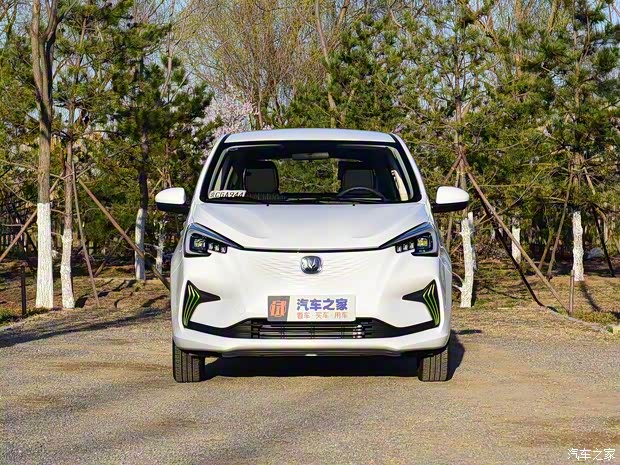 长安汽车 奔奔E-Star 2020款 心悦版