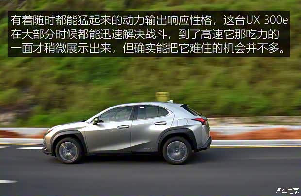雷克萨斯 雷克萨斯UX新能源 2020款 300e 纯·享版 雷克萨斯 雷克萨斯UX新能源 2020款 300e 纯·享版