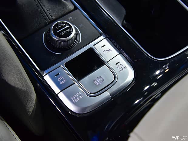 起亚(进口) Telluride 2019款 基本型