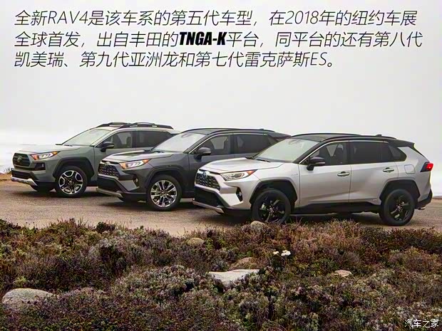 豐田(進口) 豐田RAV4(進口) 2019款 基本型