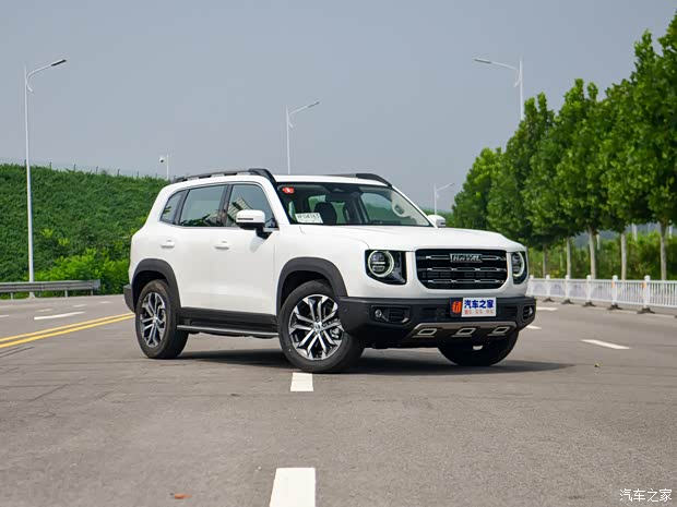 长城汽车 哈弗大狗 2020款 1.5T 基本型 长城汽车 哈弗大狗 2020款 1.5T 基本型