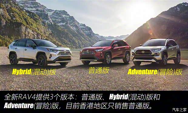 豐田(進口) 豐田RAV4(進口) 2019款 基本型