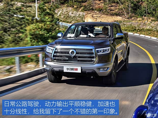长城汽车 炮 2019款 2.0T四驱尊享版小双GW4C20B