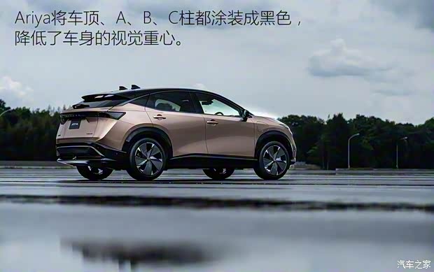 日產(chǎn)(進(jìn)口) Ariya 2020款 基本型