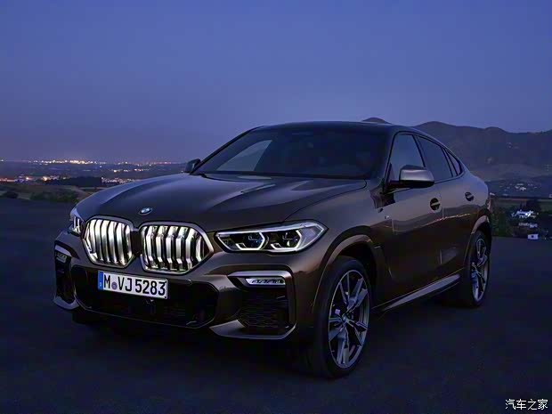 宝马(进口) 宝马X6 2020款 M50i