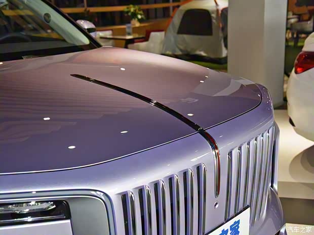 一汽红旗 红旗E-HS9 2021款 高配版