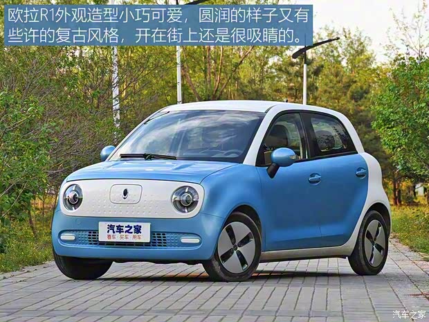 长城汽车 欧拉R1 2019款 351km 灵趣版
