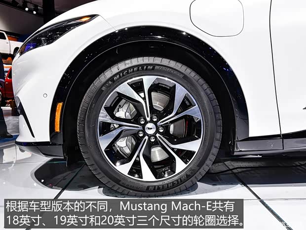 福特(进口) Mustang Mach-E 2020款 标准续航全驱版