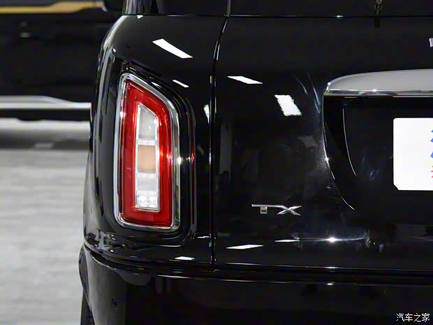 LEVC LEVC TX 2020款 插电混动基本型