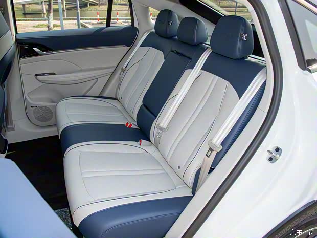 上汽集团 鲸 2022款 2.0T 蓝鲸版 上汽集团 鲸 2022款 2.0T 蓝鲸版