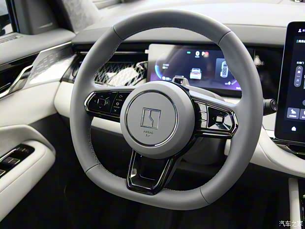 極氪 ZEEKR 009 2022款 WE版