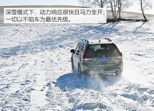 斯巴鲁 森林人 2019款 2.0i 智擎旗舰版EyeSight 斯巴鲁 森林人 2019款 2.0i 智擎旗舰版EyeSight